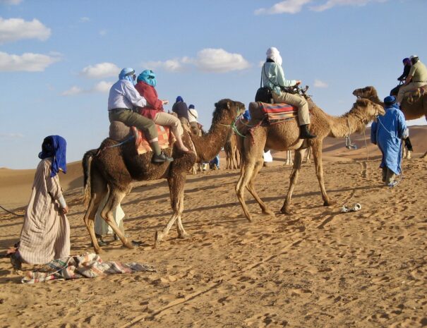 marrakech agafay taxi tours
