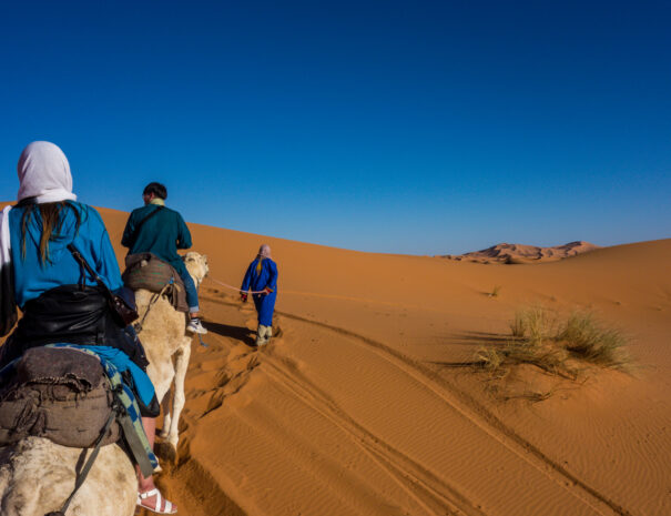 marrakech agafay taxi tours