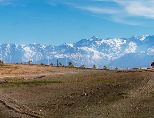 marrakech agafay taxi tours